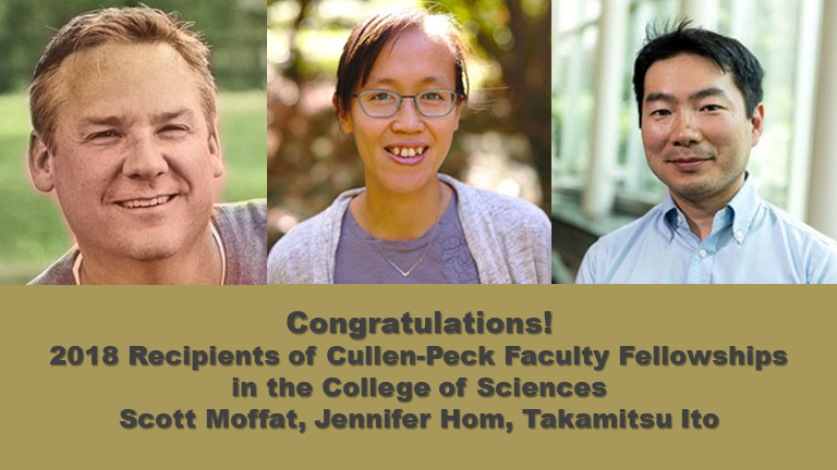 2018 Cullen-Peck Fellows